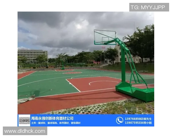 创新引领未来体育器材公司致力于提供高品质运动装备与服务的企业简介